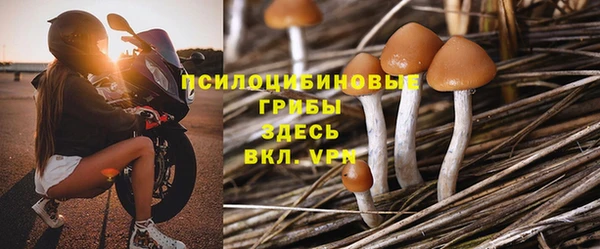 таблы Алексин
