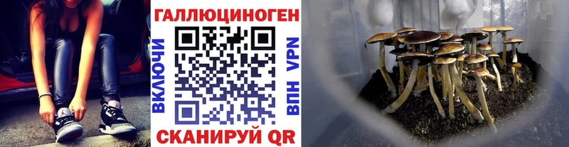 Псилоцибиновые грибы прущие грибы  Моздок 
