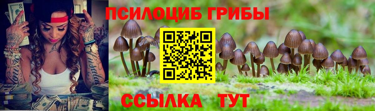 Псилоцибиновые грибы Psilocybine cubensis Моздок